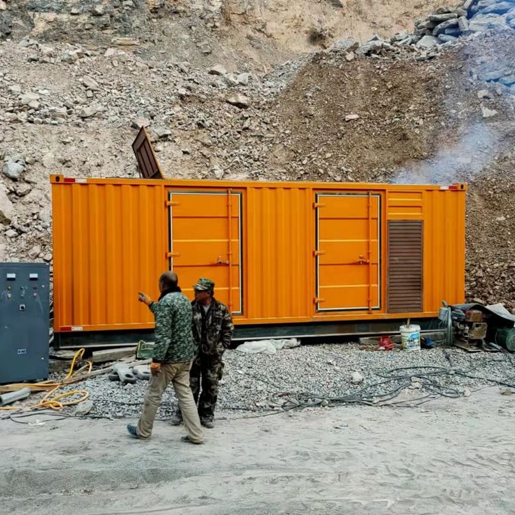 后湖管理区如何选择适合自己的 800KW 柴油发电机组?